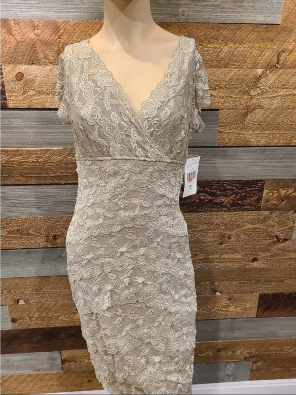 Blu Sage Lace V-Neck Midi Dress in Ivory